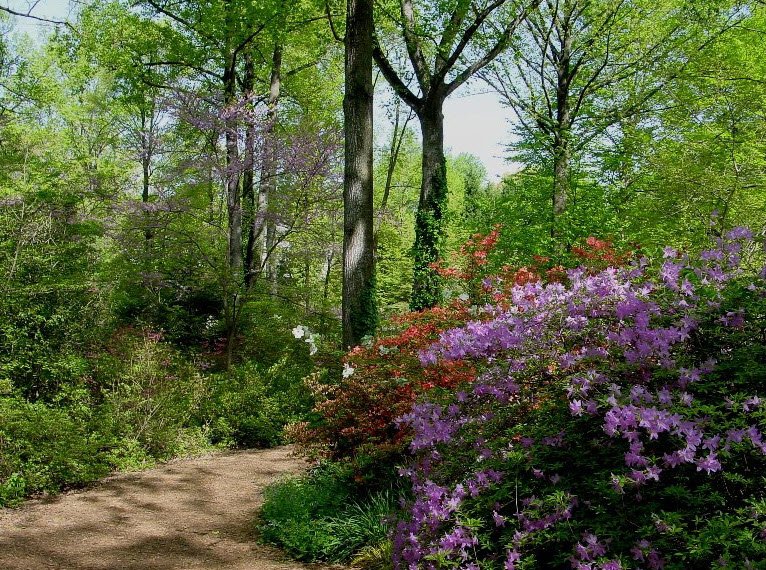 McCrillis Gardens, United States